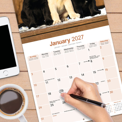 Labrador Retrievers Wall Calendar 2027