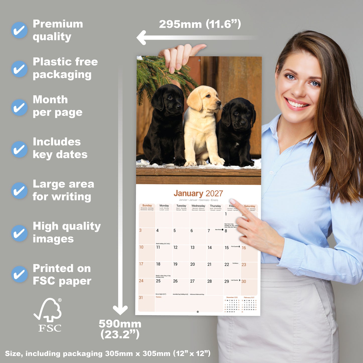 Labrador Retrievers Wall Calendar 2027