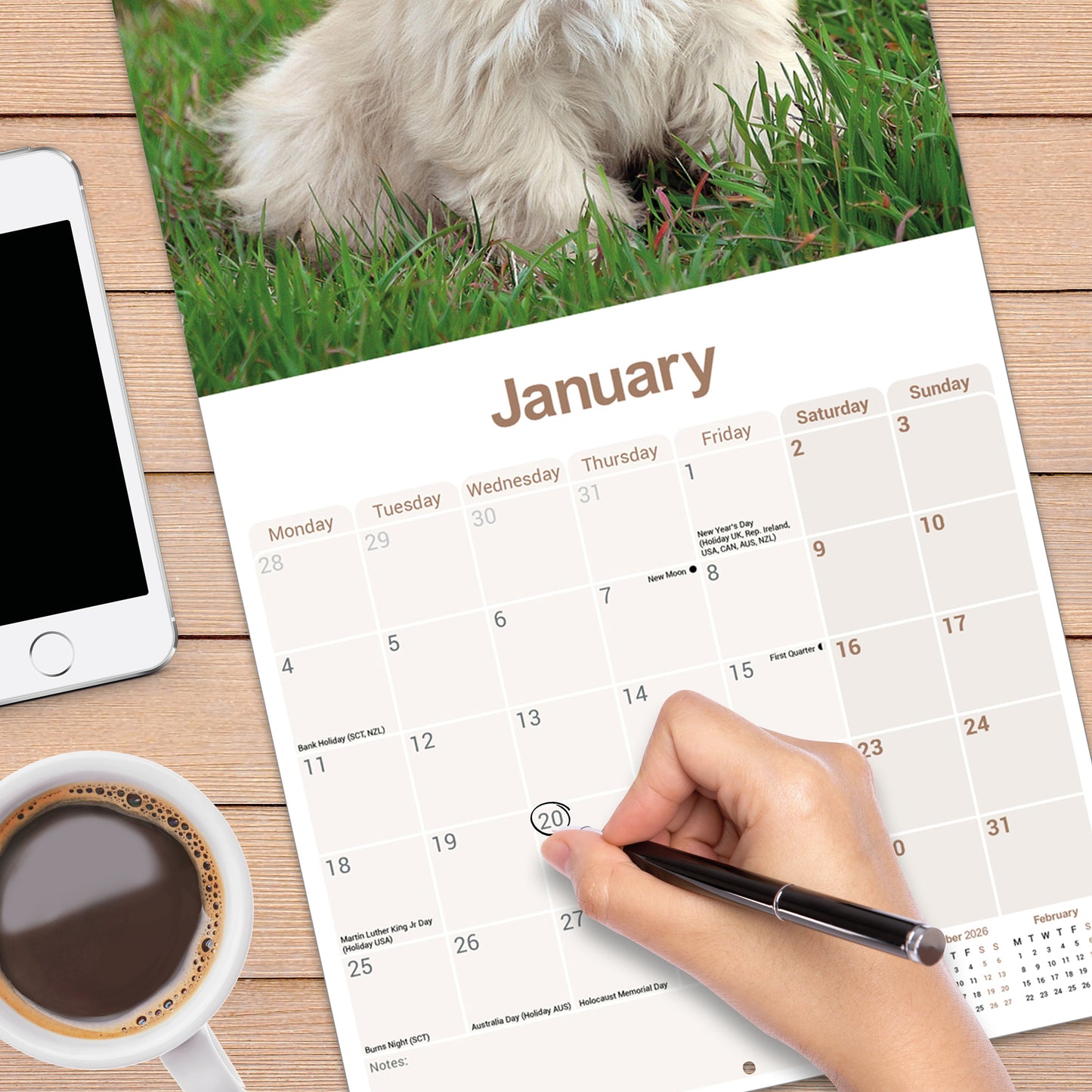 Lhasa Apso Wall Calendar 2027