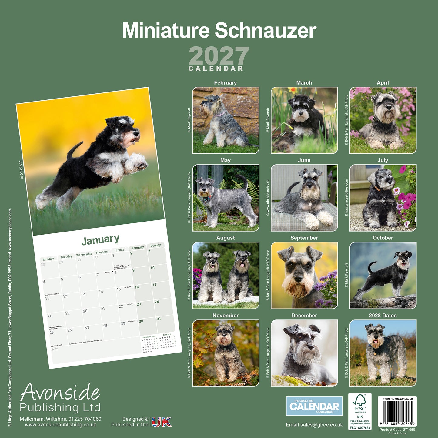 Schnauzer, Miniature Wall Calendar 2027