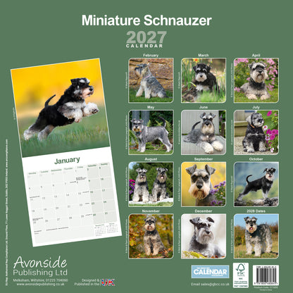 Schnauzer, Miniature Wall Calendar 2027