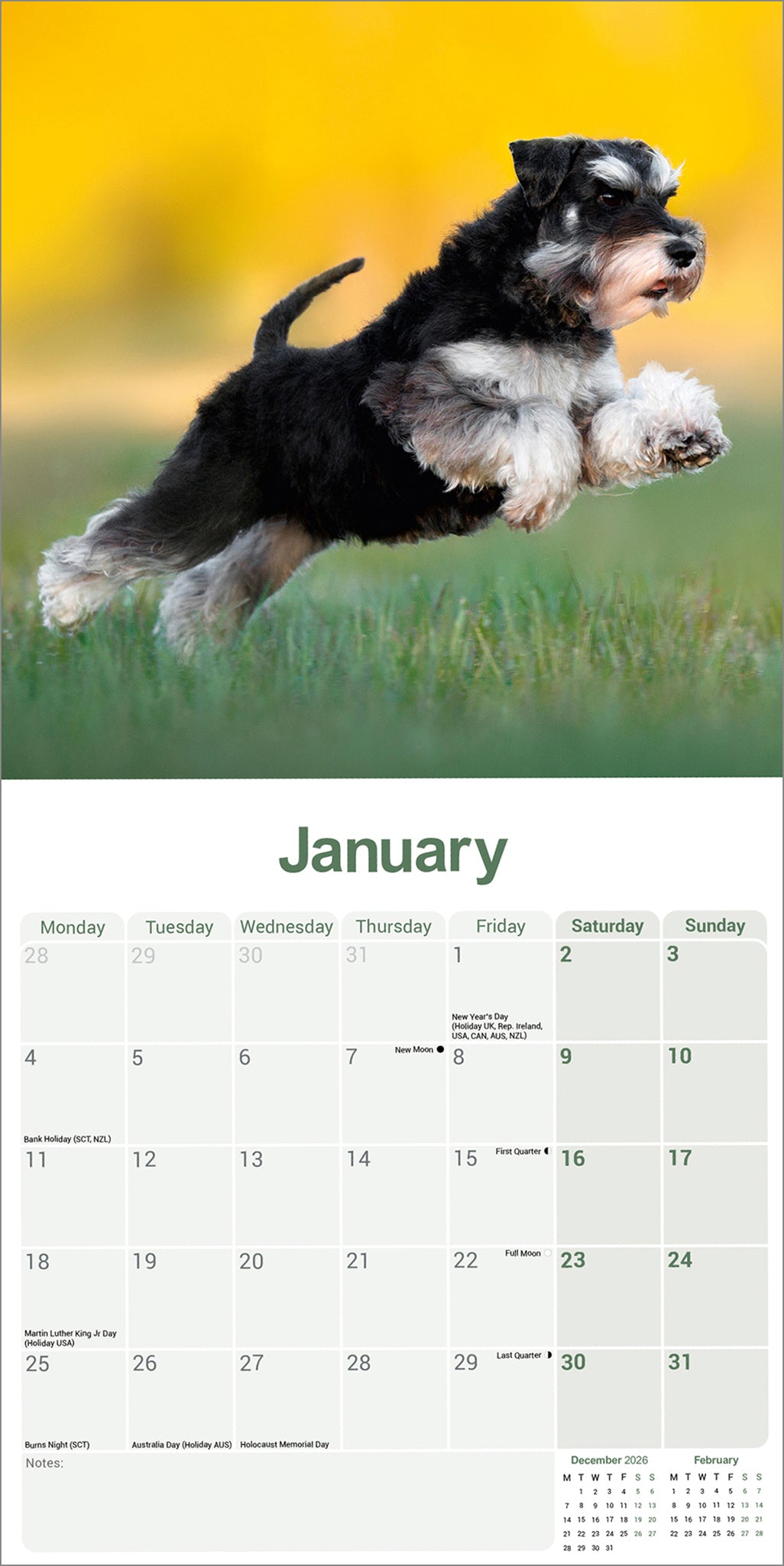 Schnauzer, Miniature Wall Calendar 2027