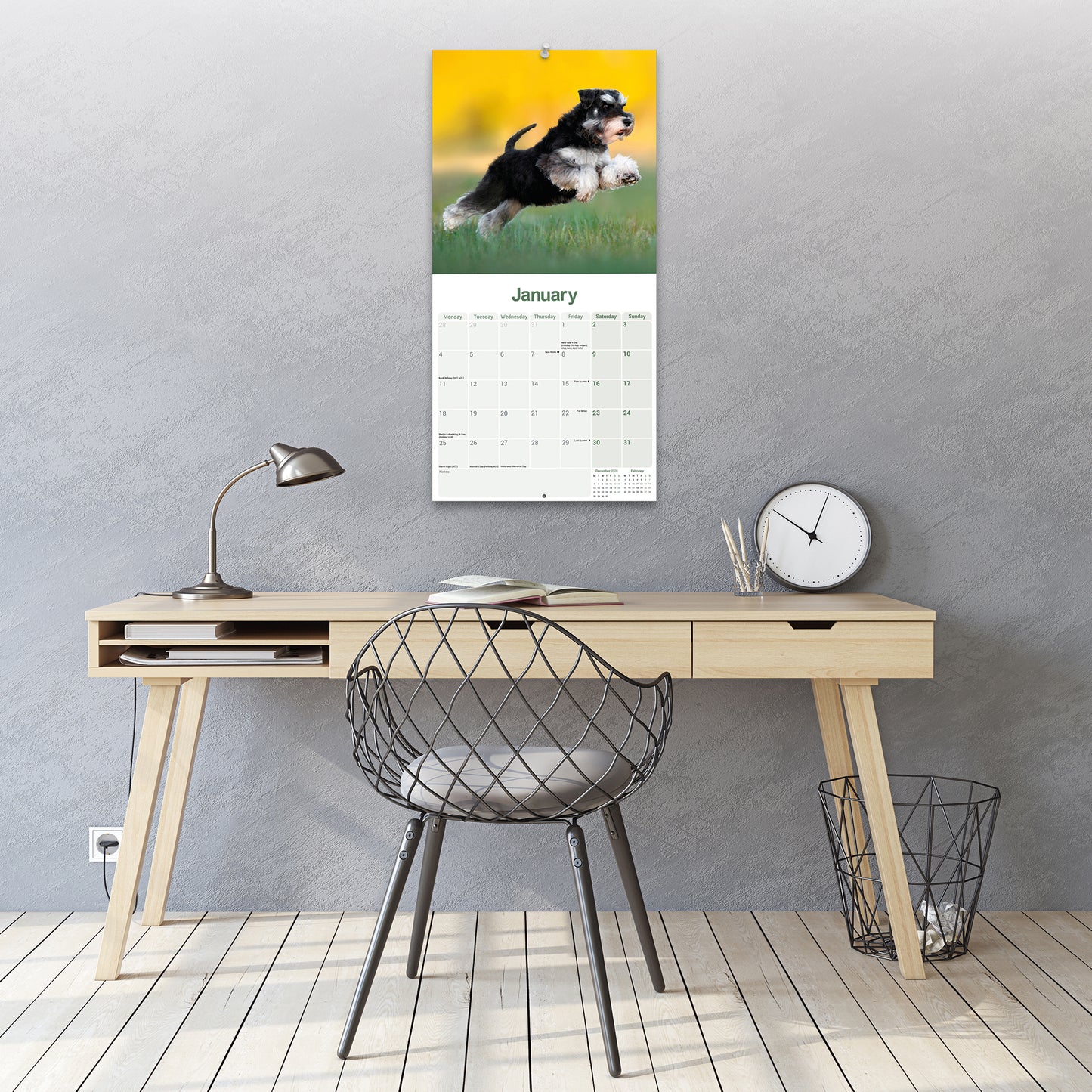 Schnauzer, Miniature Wall Calendar 2027