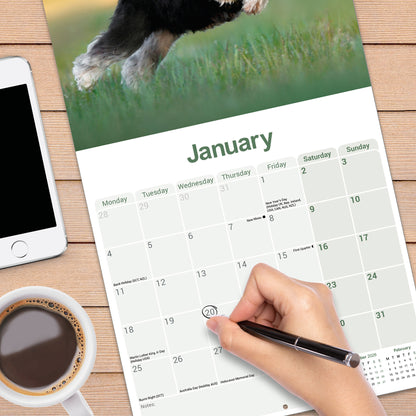 Schnauzer, Miniature Wall Calendar 2027