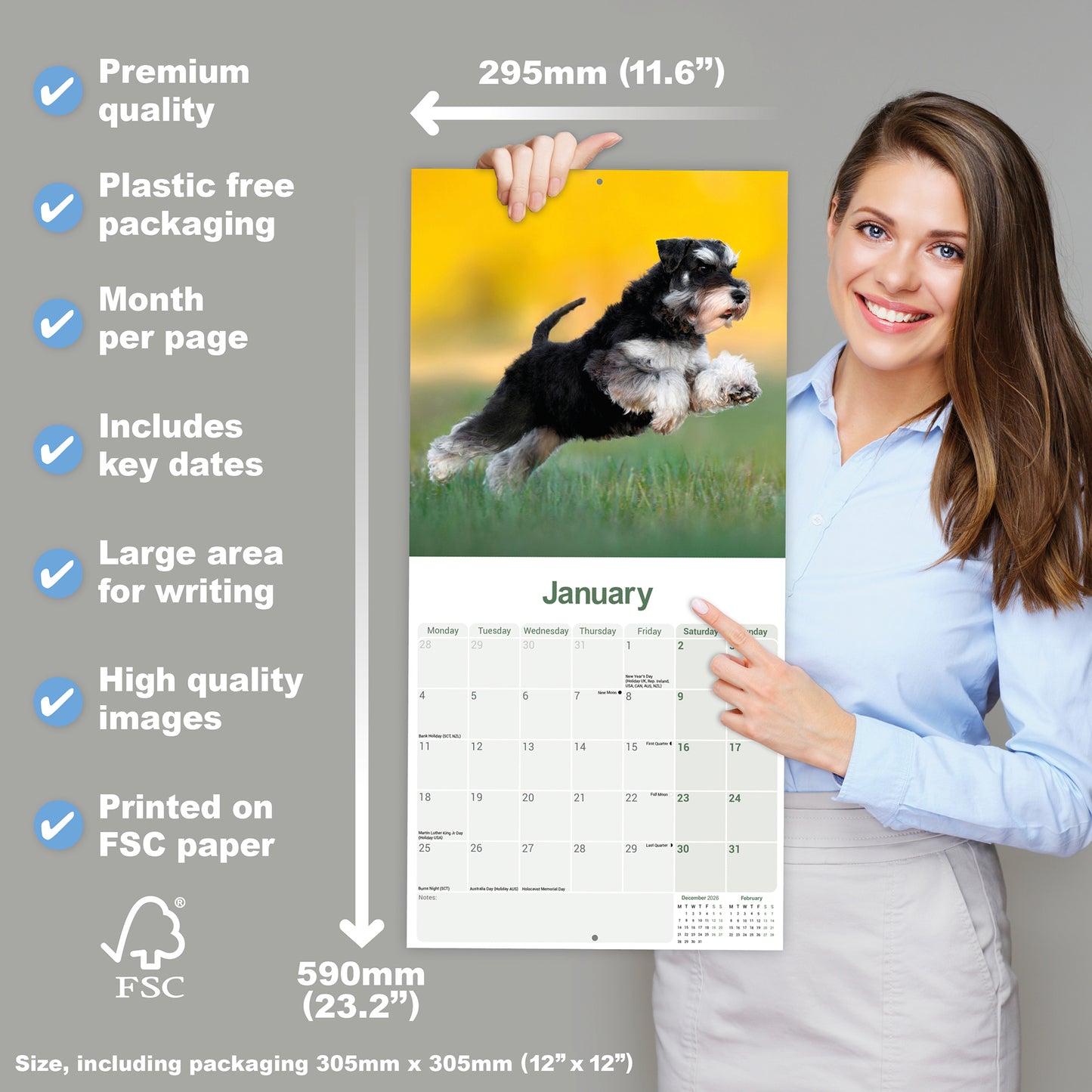 Schnauzer, Miniature Wall Calendar 2027