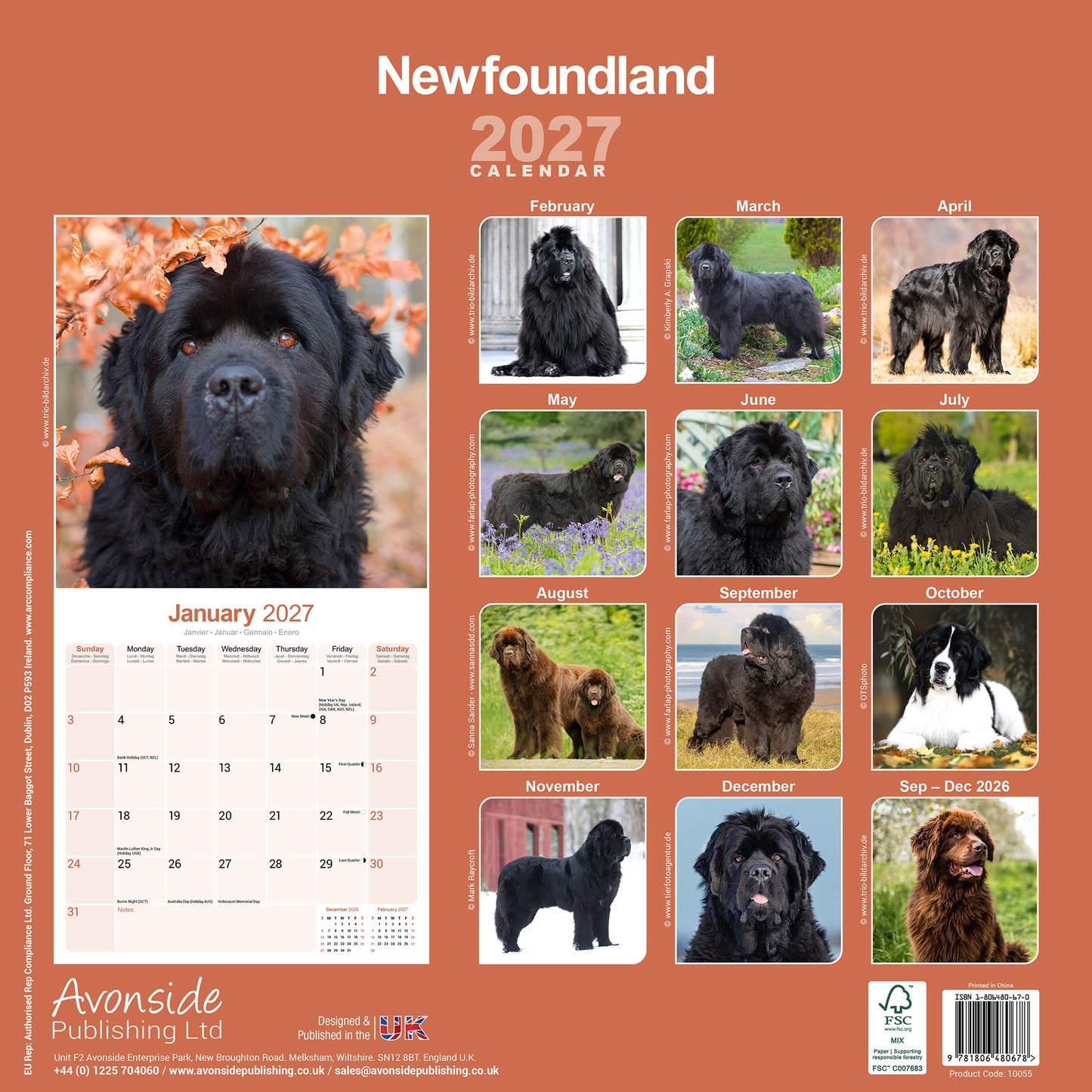 Newfoundland Wall Calendar 2027