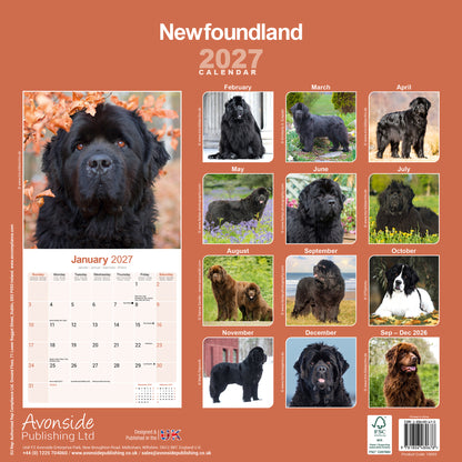 Newfoundland Wall Calendar 2027