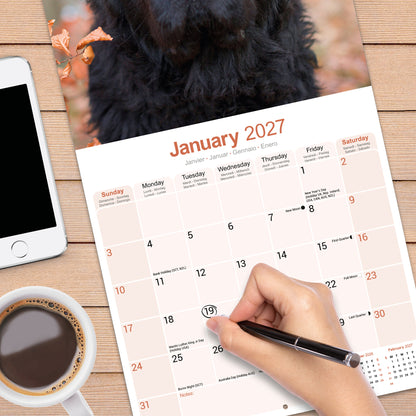 Newfoundland Wall Calendar 2027