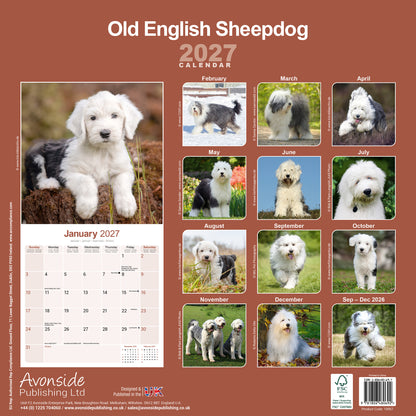 Old English Sheepdog Wall Calendar 2027