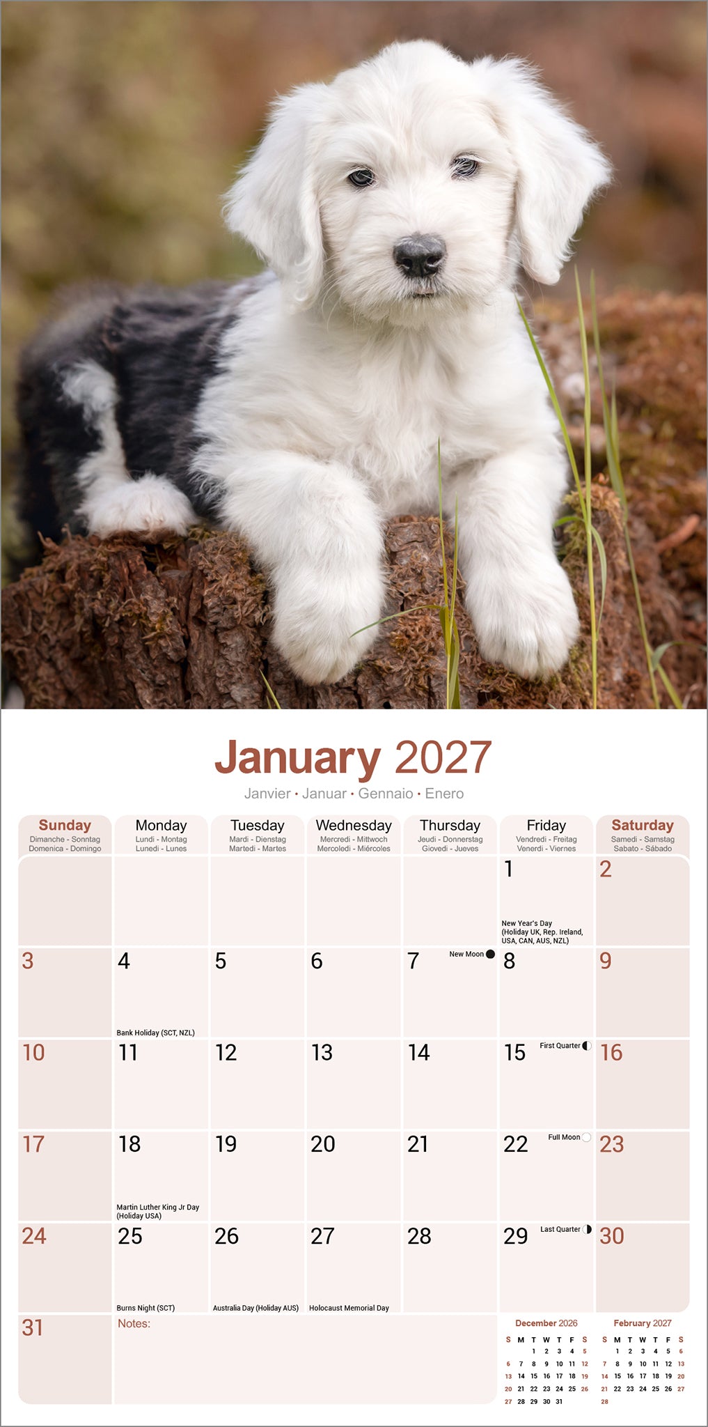 Old English Sheepdog Wall Calendar 2027