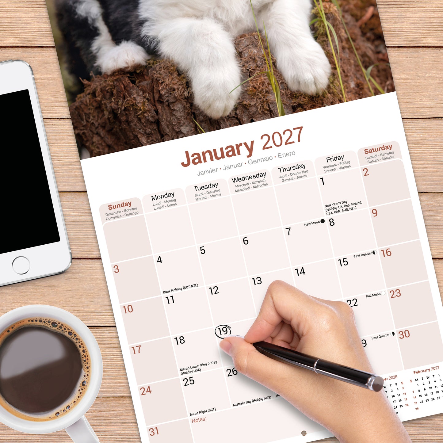 Old English Sheepdog Wall Calendar 2027