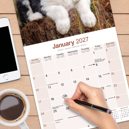 Old English Sheepdog Wall Calendar 2027