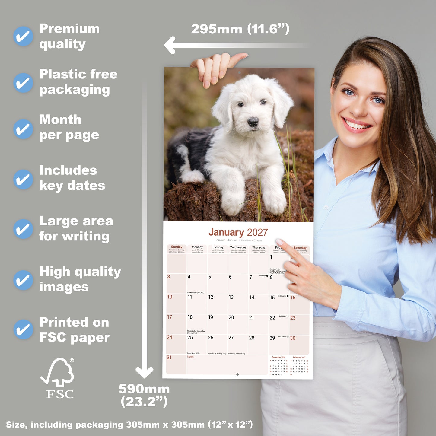 Old English Sheepdog Wall Calendar 2027