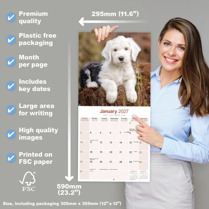 Old English Sheepdog Wall Calendar 2027