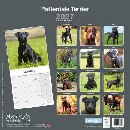 Patterdale Terriers Wall Calendar 2027