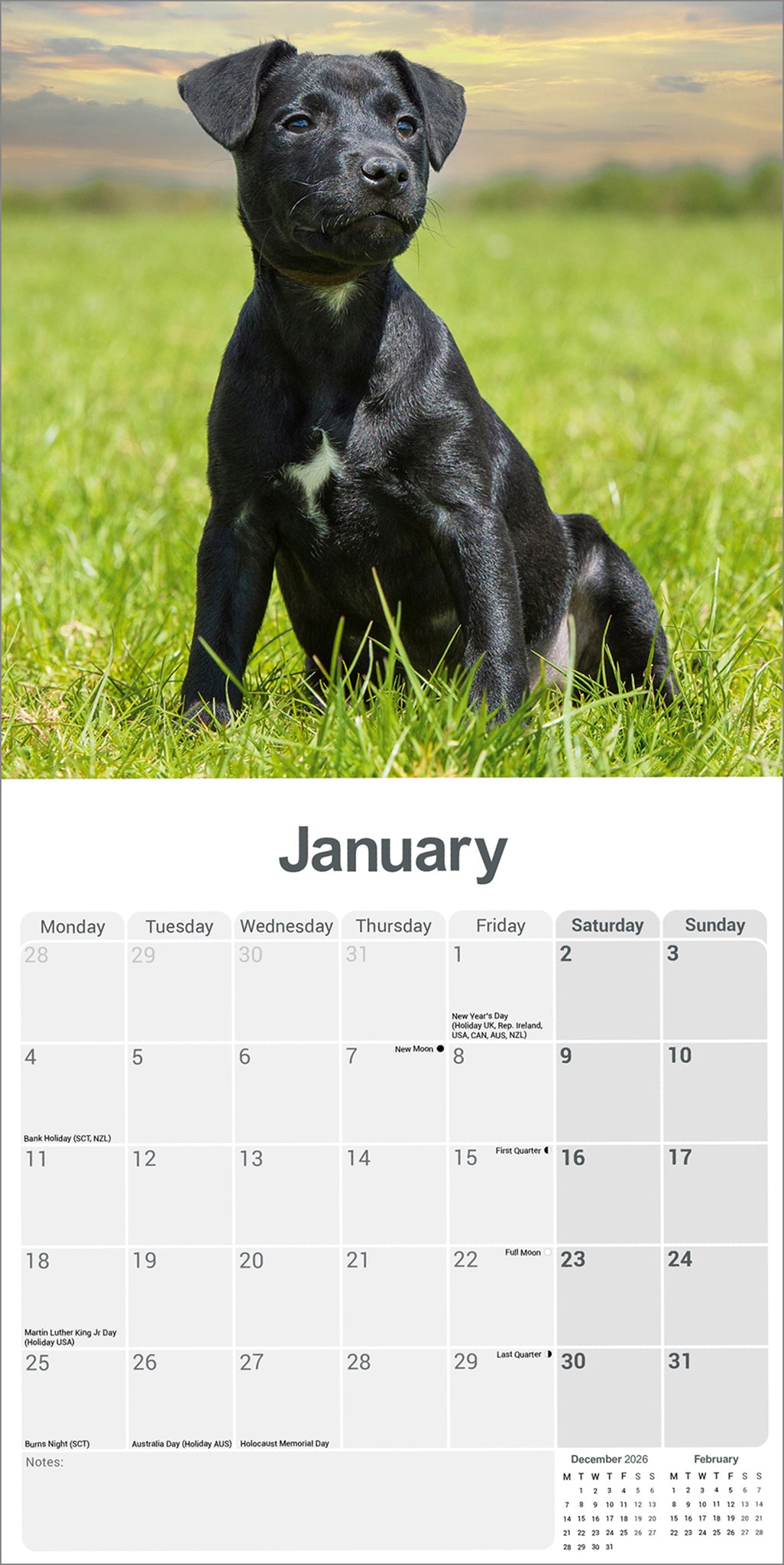 Patterdale Terriers Wall Calendar 2027