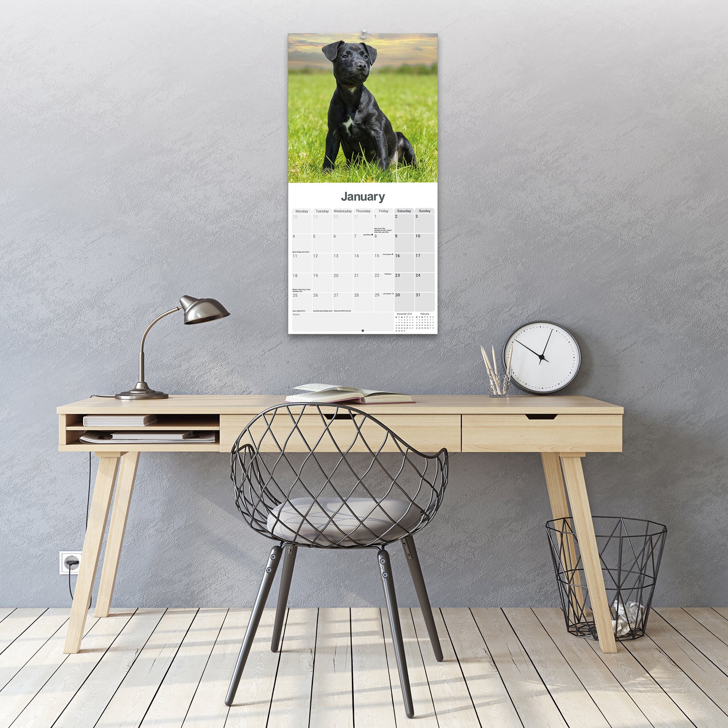 Patterdale Terriers Wall Calendar 2027