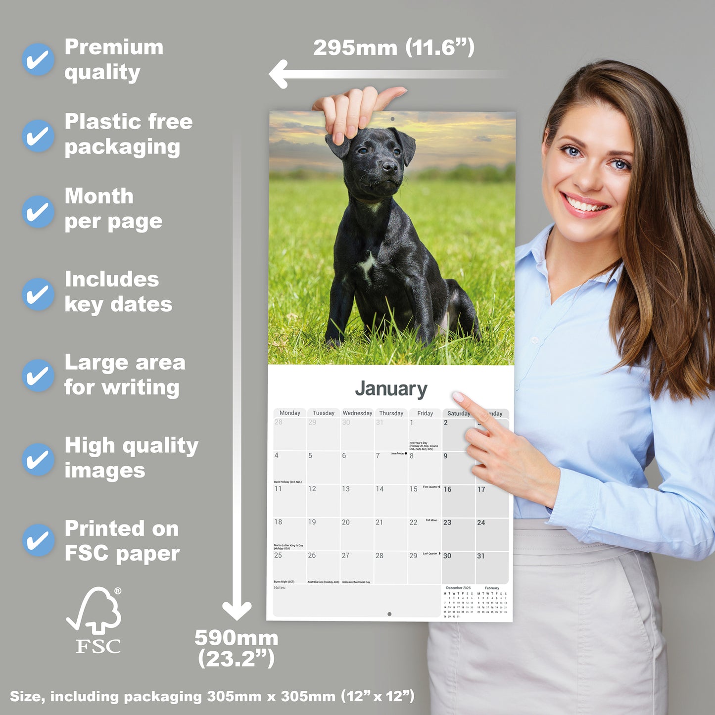 Patterdale Terriers Wall Calendar 2027