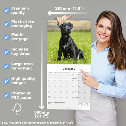 Patterdale Terriers Wall Calendar 2027