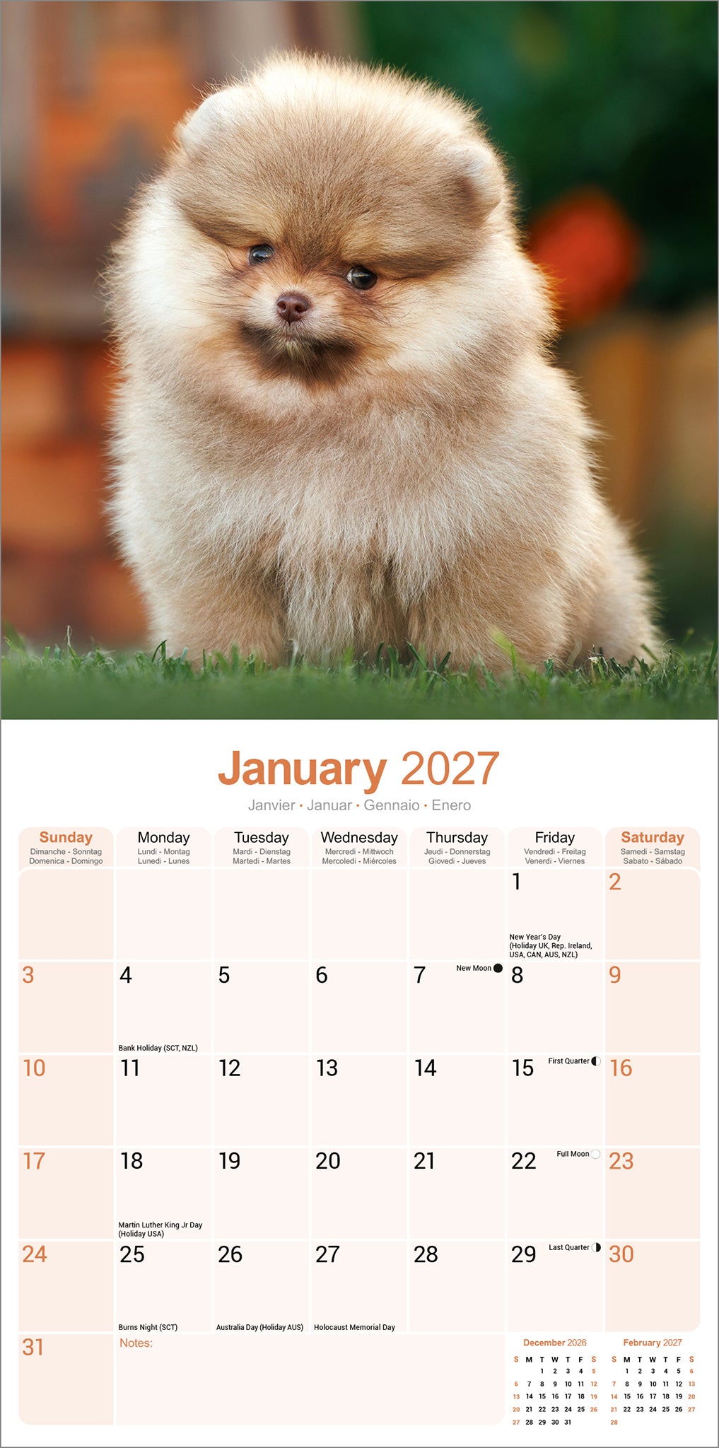 Pomeranian Wall Calendar 2027