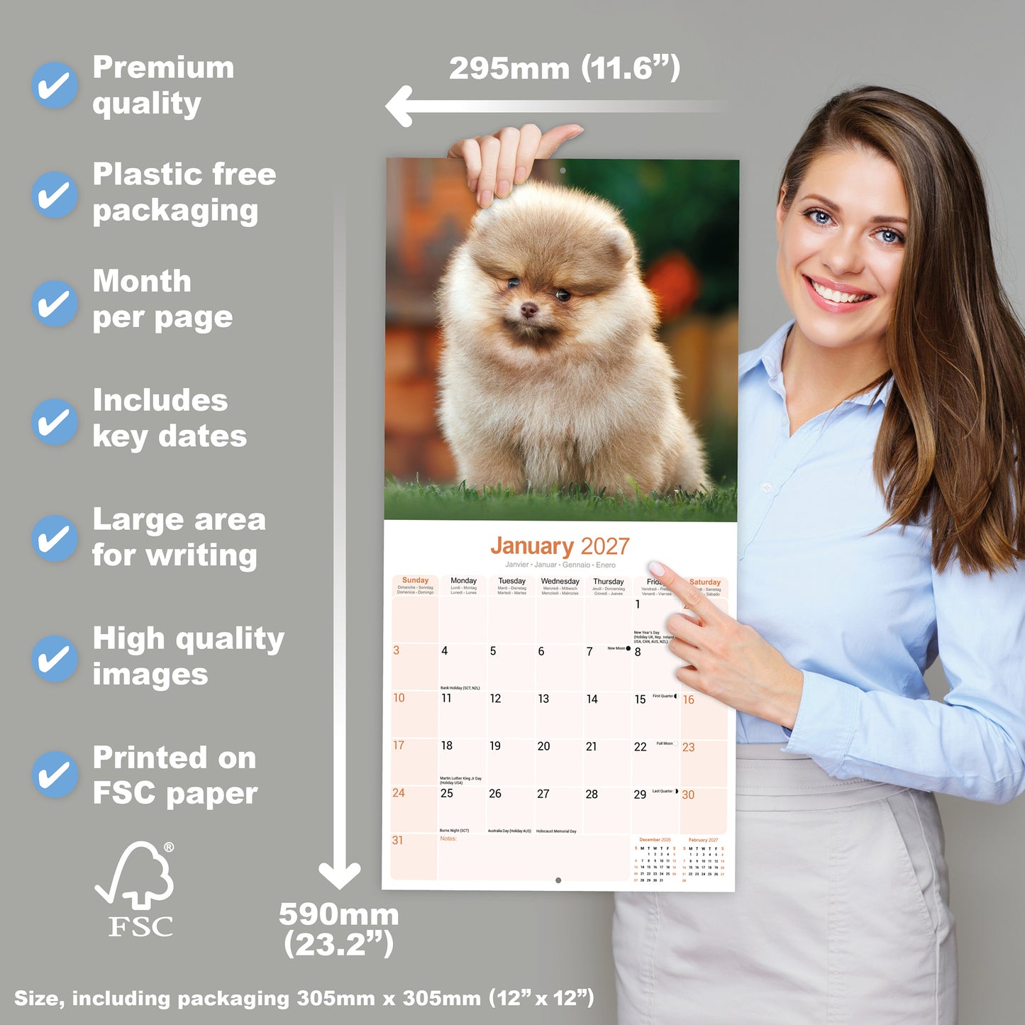 Pomeranian Wall Calendar 2027
