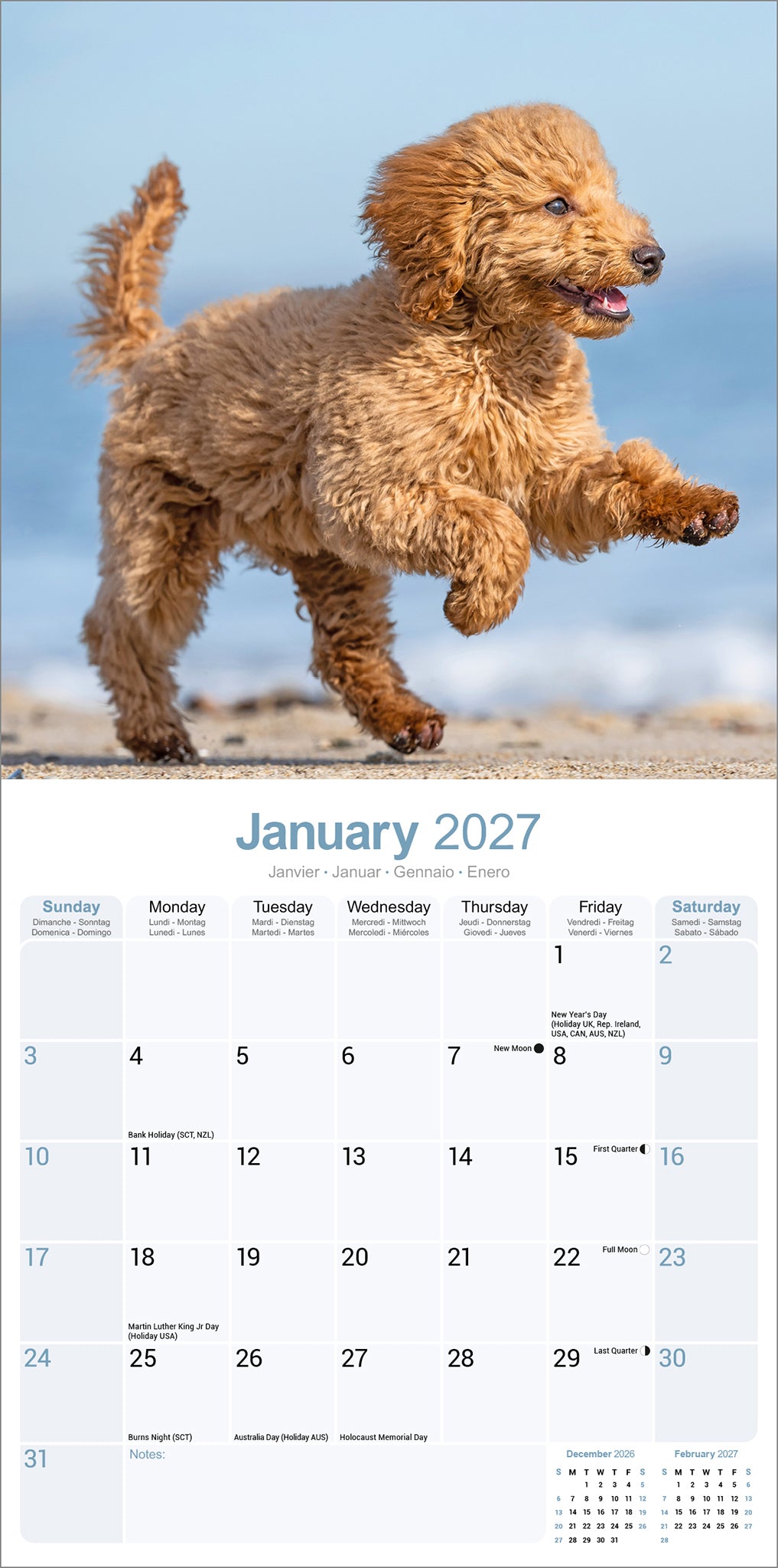 Poodle Wall Calendar 2027
