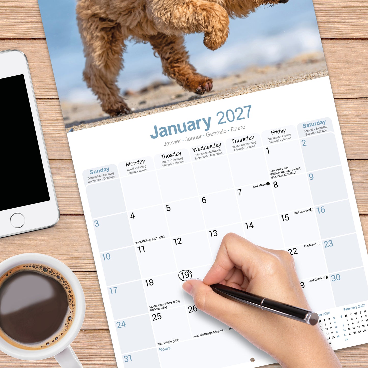 Poodle Wall Calendar 2027
