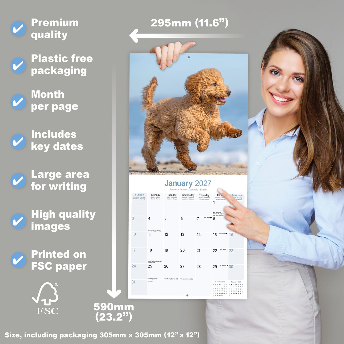 Poodle Wall Calendar 2027