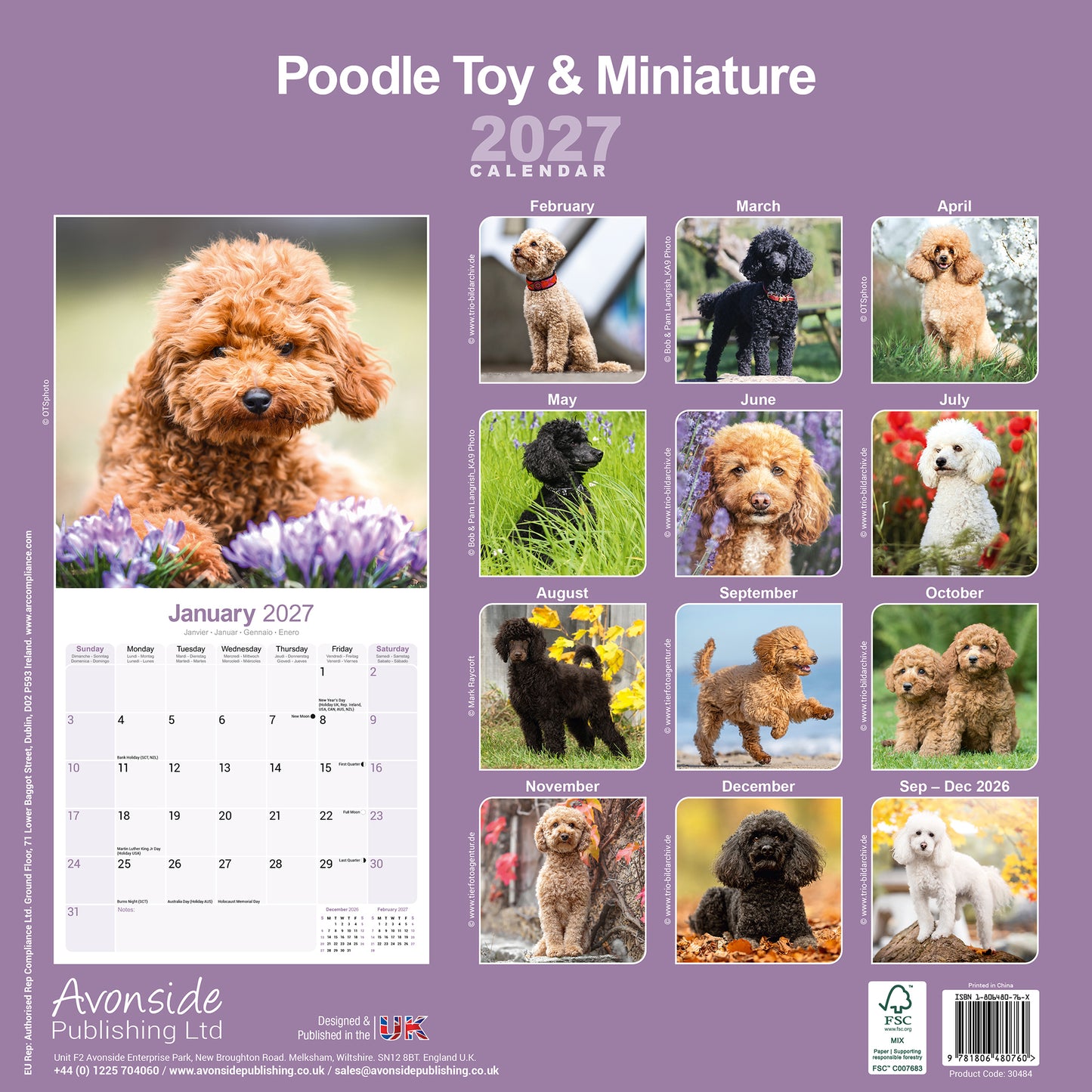 Poodles Toy & Miniature Wall Calendar 2027