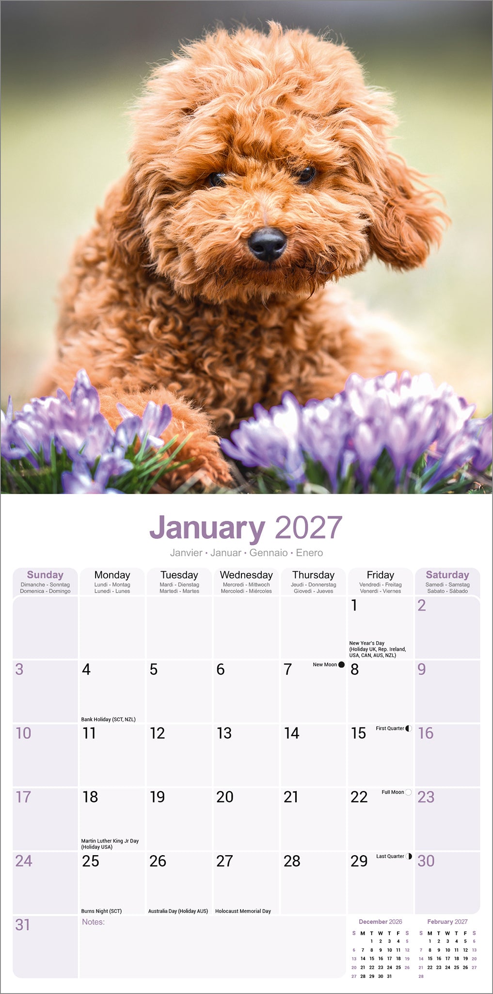 Poodles Toy & Miniature Wall Calendar 2027