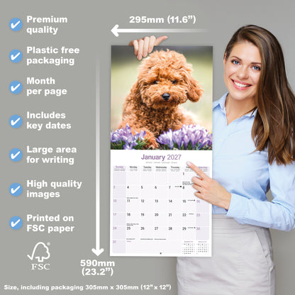 Poodles Toy & Miniature Wall Calendar 2027