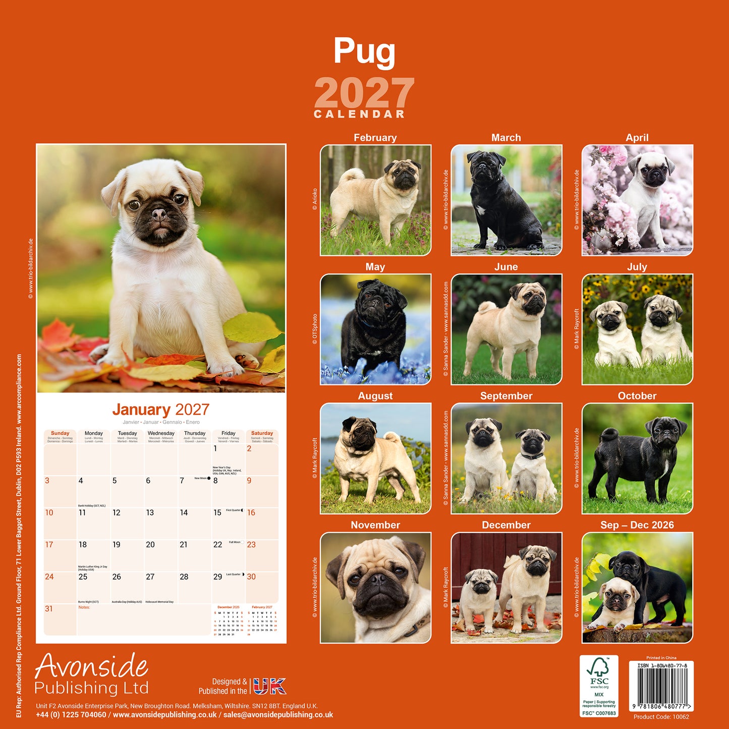 Pug Wall Calendar 2027