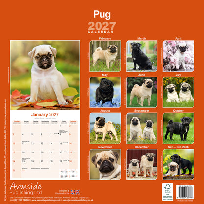Pug Wall Calendar 2027
