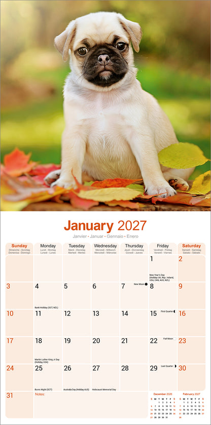 Pug Wall Calendar 2027