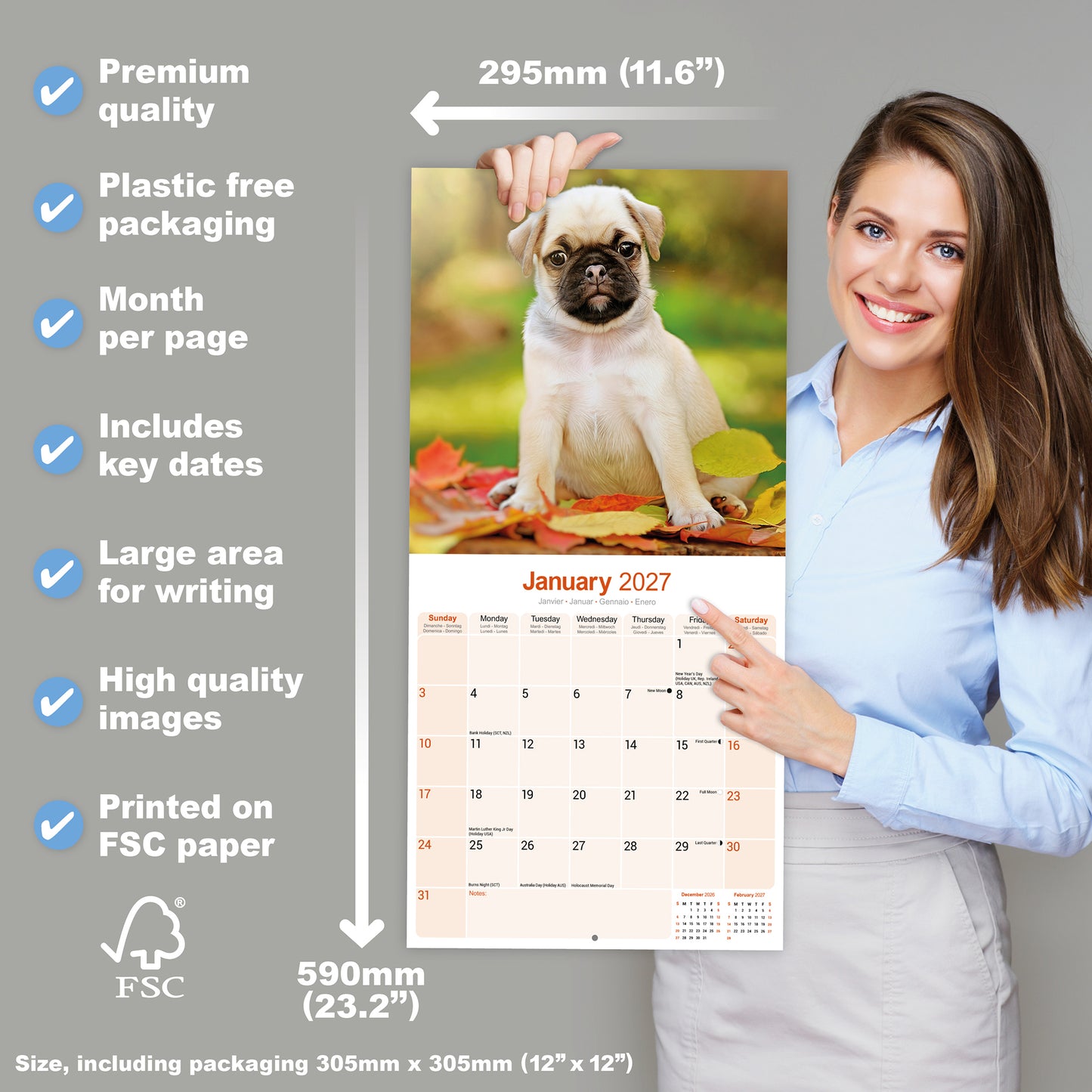 Pug Wall Calendar 2027