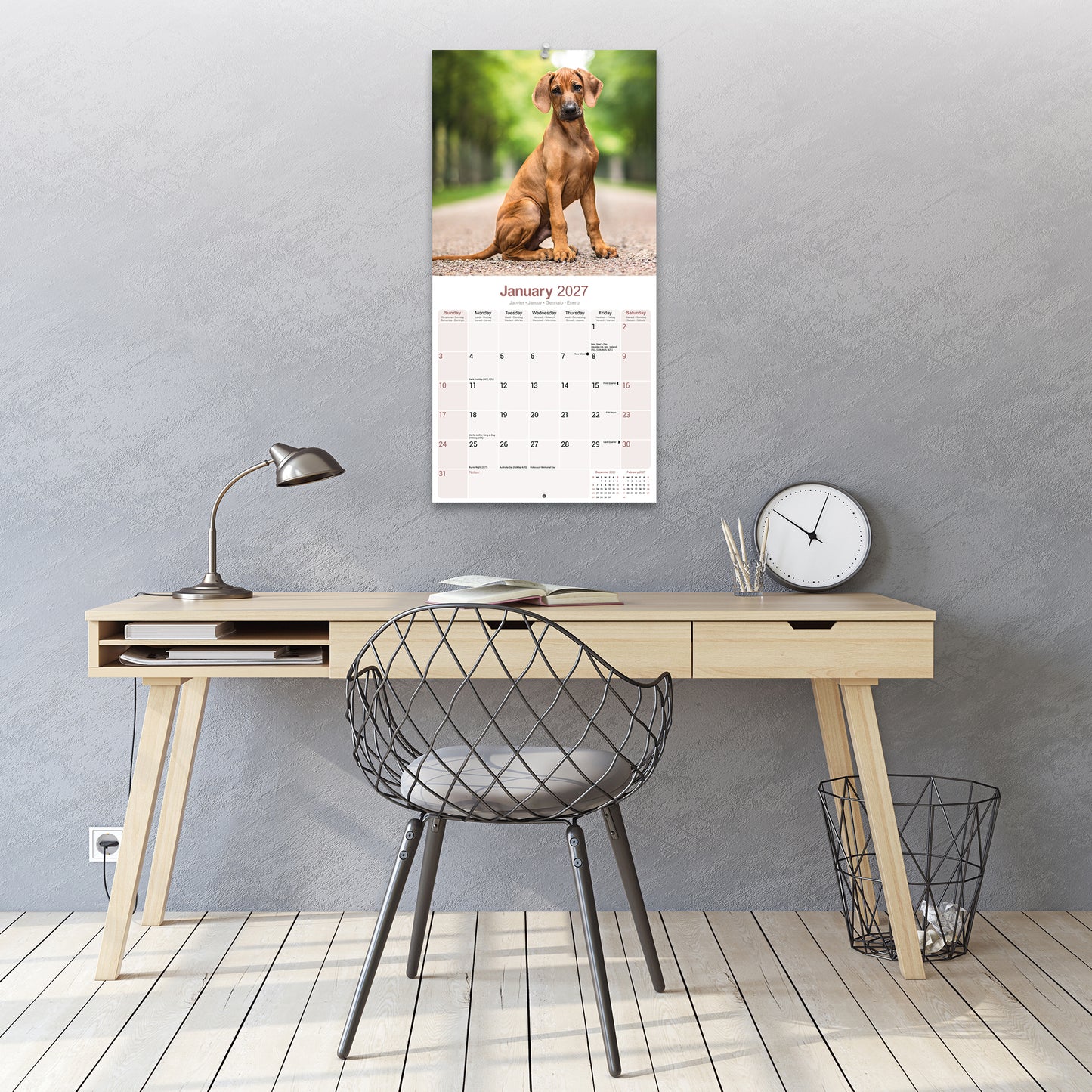 Rhodesian Ridgeback Wall Calendar 2027