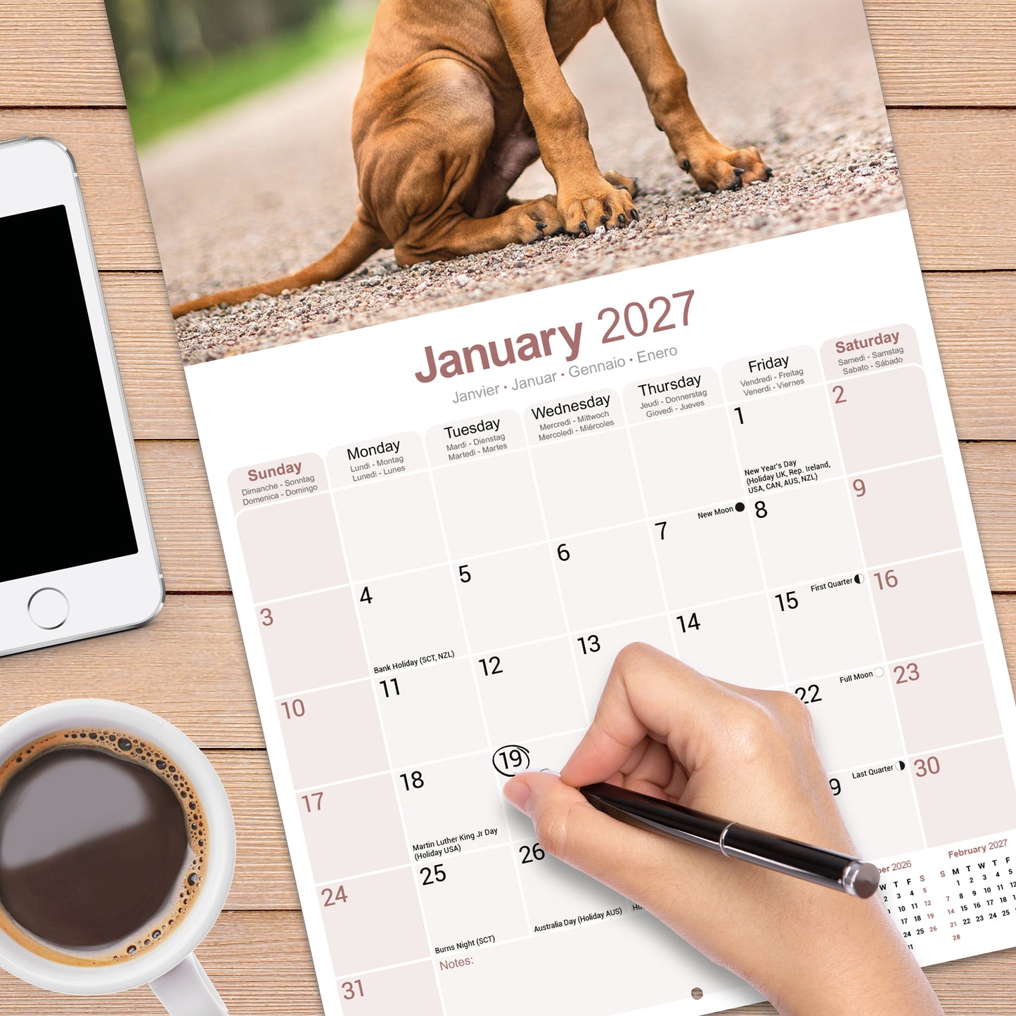 Rhodesian Ridgeback Wall Calendar 2027
