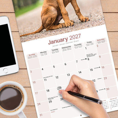 Rhodesian Ridgeback Wall Calendar 2027