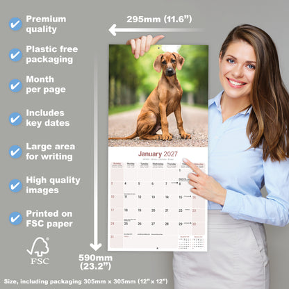 Rhodesian Ridgeback Wall Calendar 2027