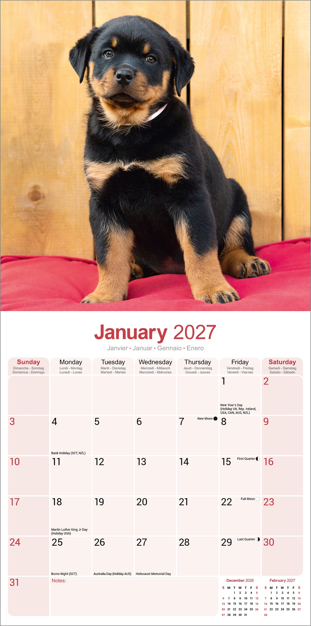 Rottweiler Puppies Wall Calendar 2027