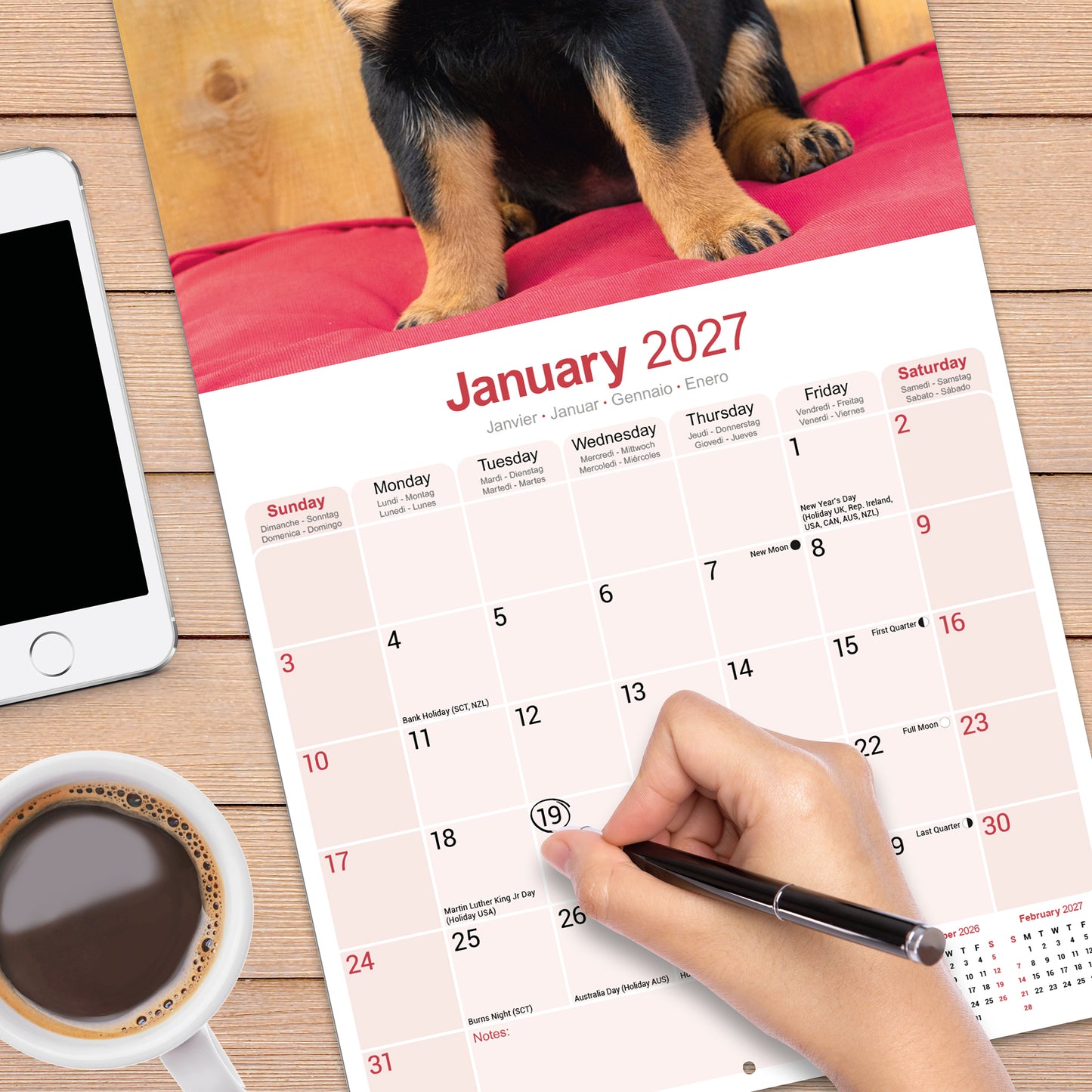 Rottweiler Puppies Wall Calendar 2027