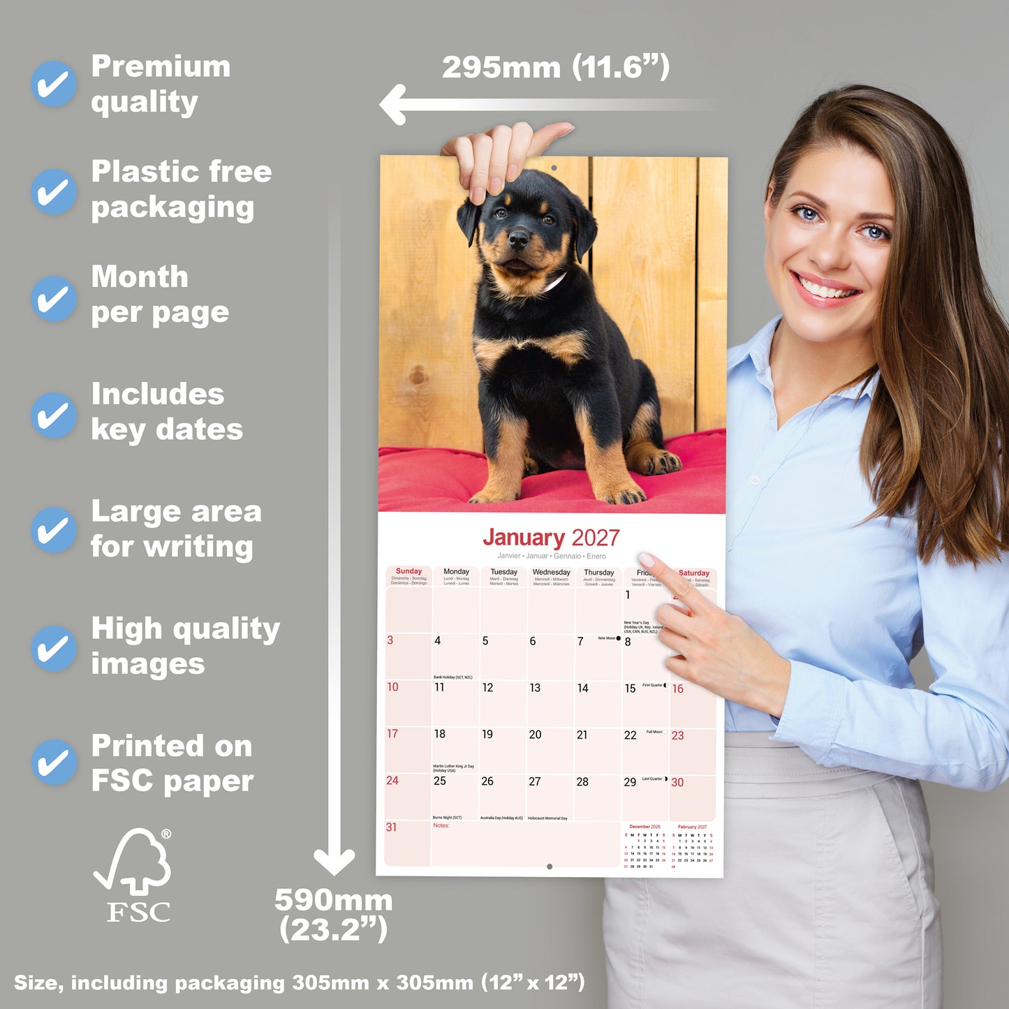 Rottweiler Puppies Wall Calendar 2027