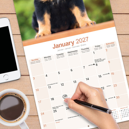 Rottweiler Wall Calendar 2027