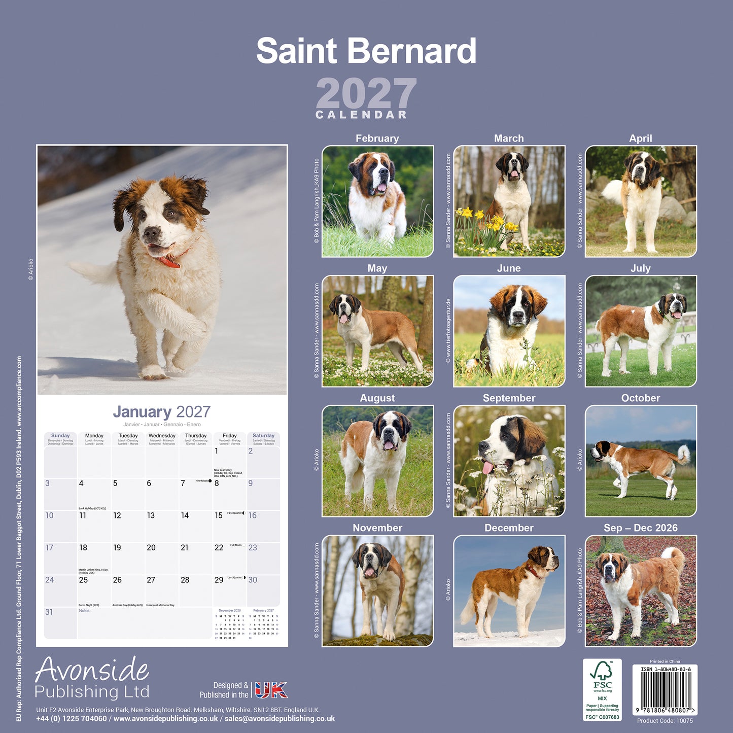 Saint Bernard Wall Calendar 2027