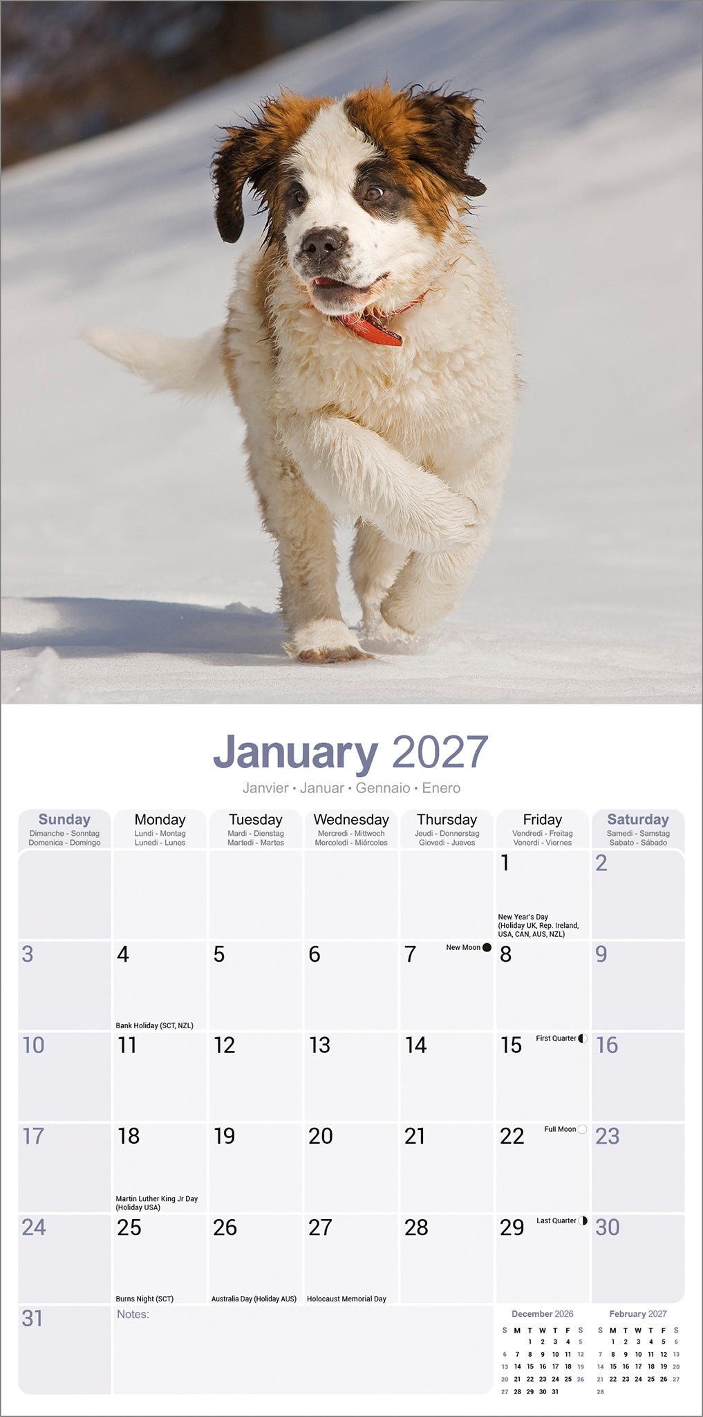 Saint Bernard Wall Calendar 2027