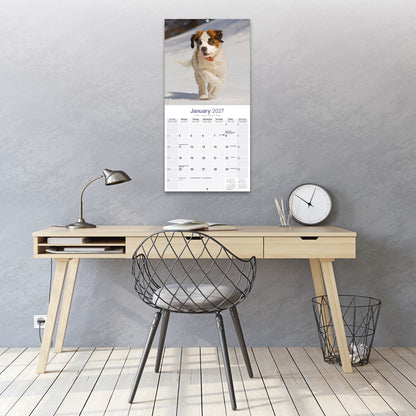 Saint Bernard Wall Calendar 2027