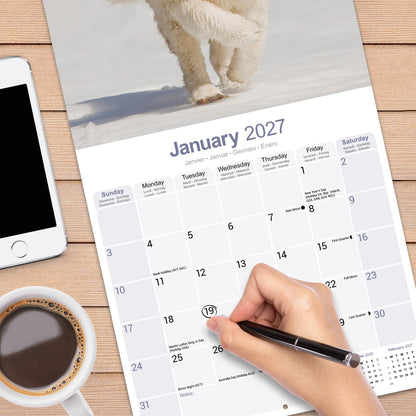 Saint Bernard Wall Calendar 2027