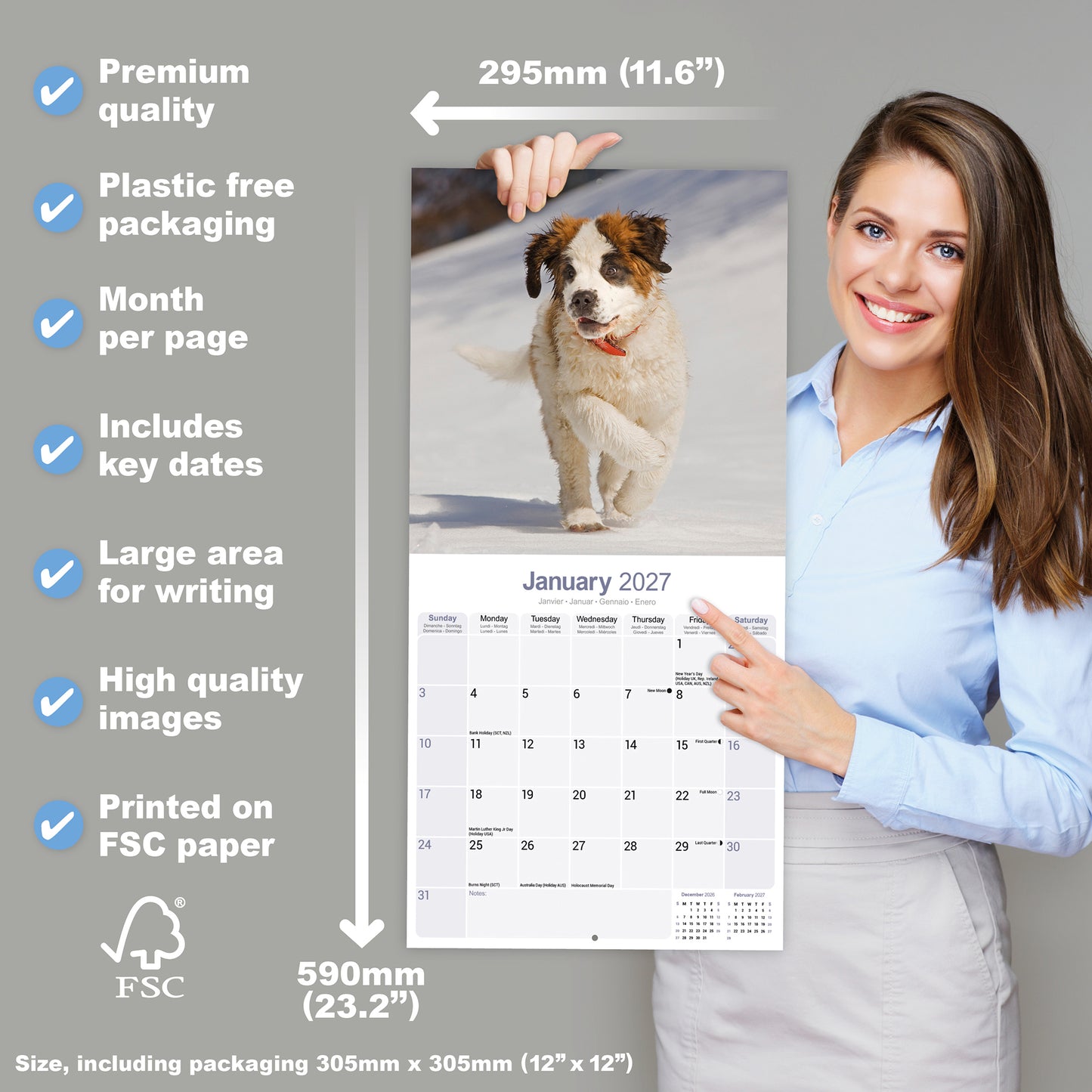 Saint Bernard Wall Calendar 2027