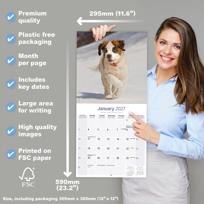 Saint Bernard Wall Calendar 2027