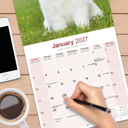 Samoyed Wall Calendar 2027
